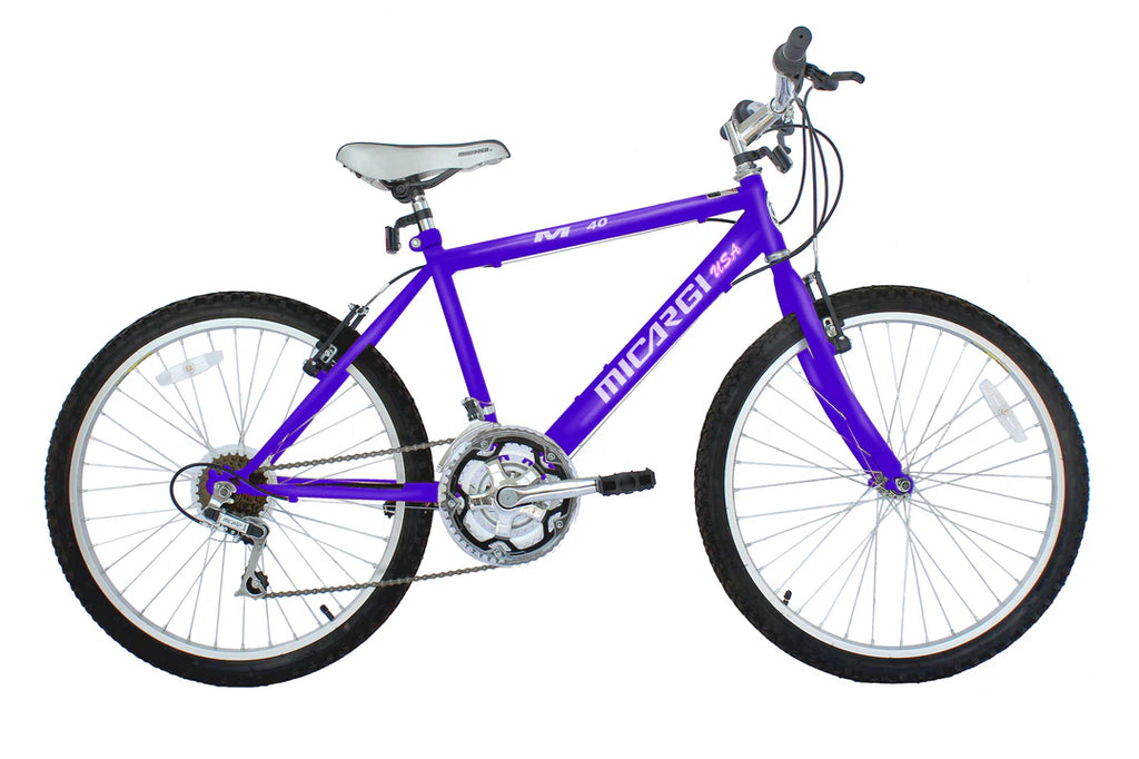 Micargi 26" M50 Mountain Bike - Men's