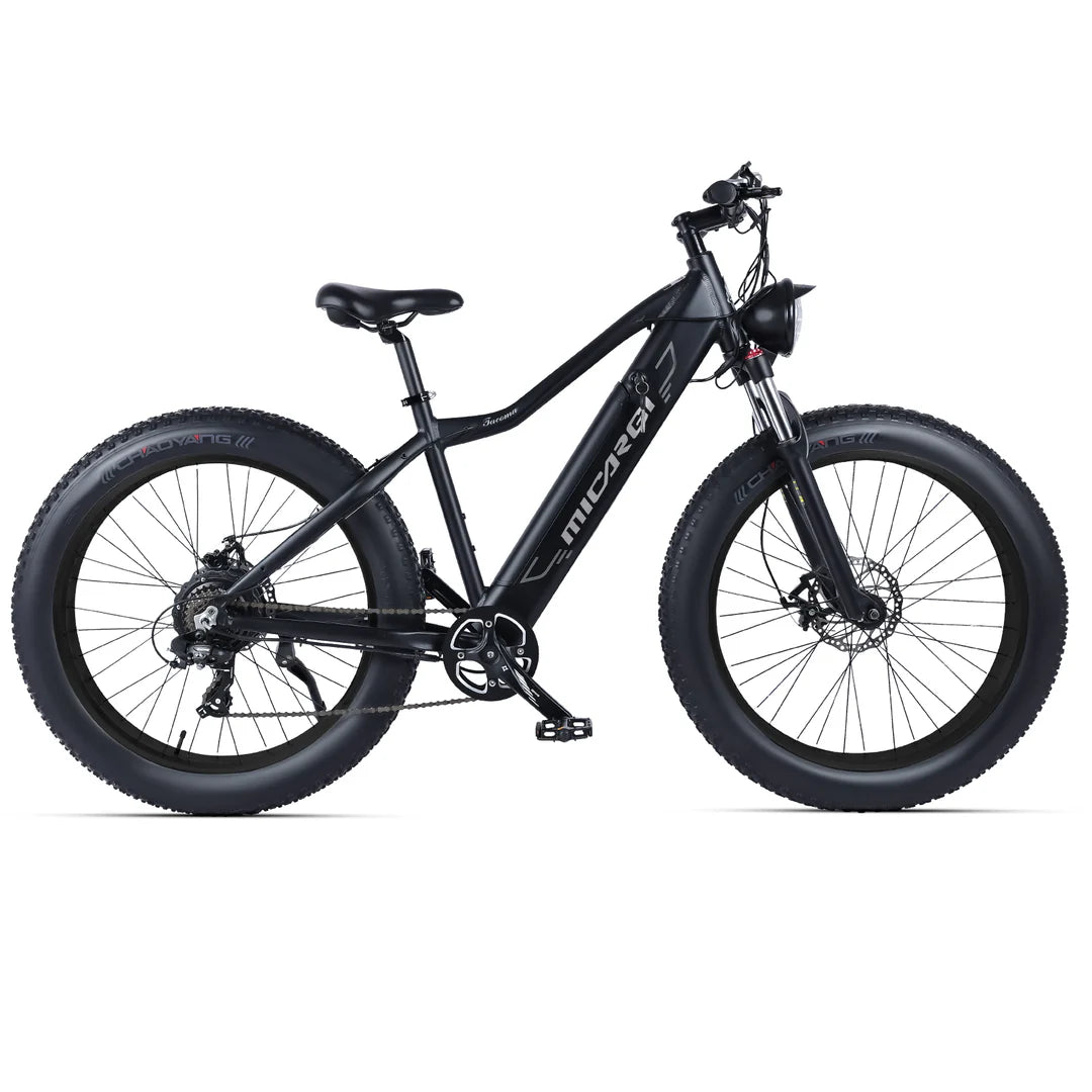 Micargi Steed Electric Mountain Bicycle